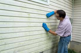 Best Custom Trim and Detailing for Siding  in Ridgewood, NJ